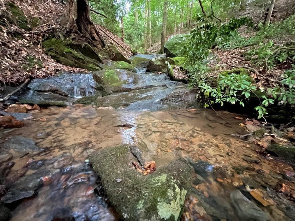 64 Kristin Lane, Ellijay GA 30540 - Primary photo