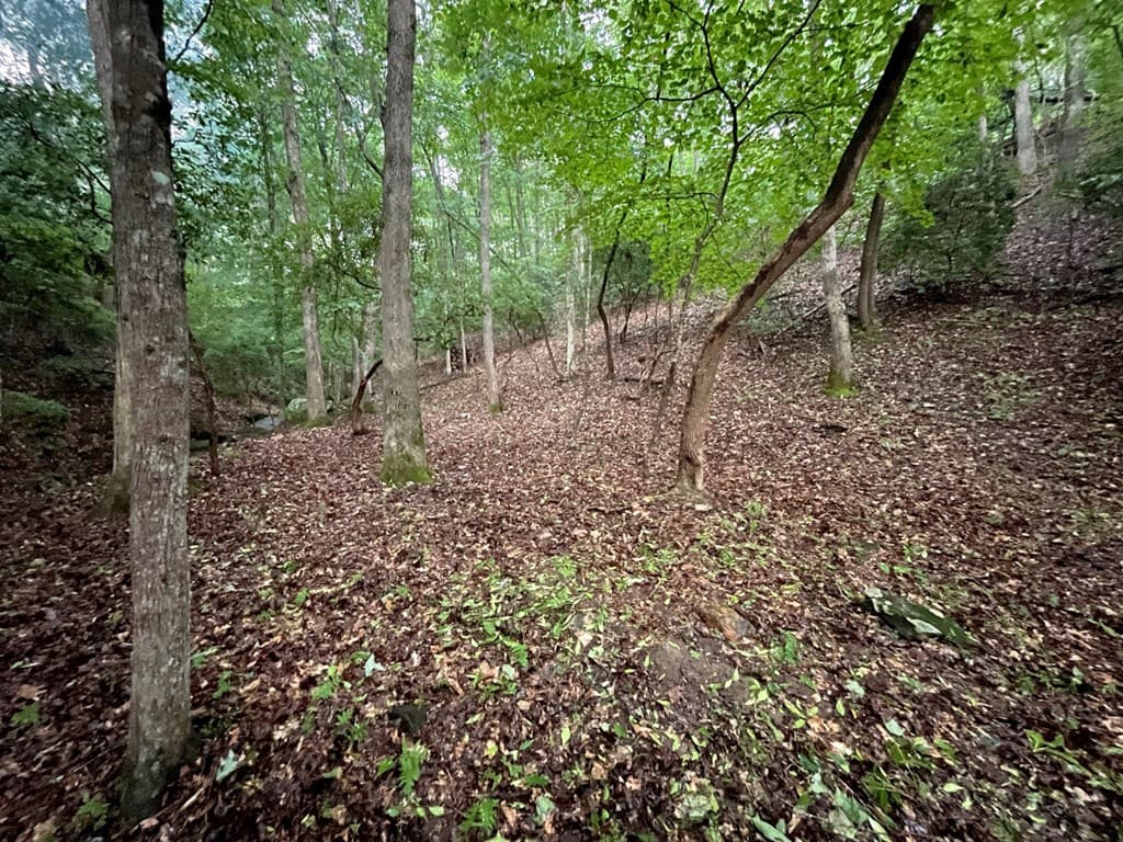 64 Kristin Lane, Ellijay GA 30540 - Photo
