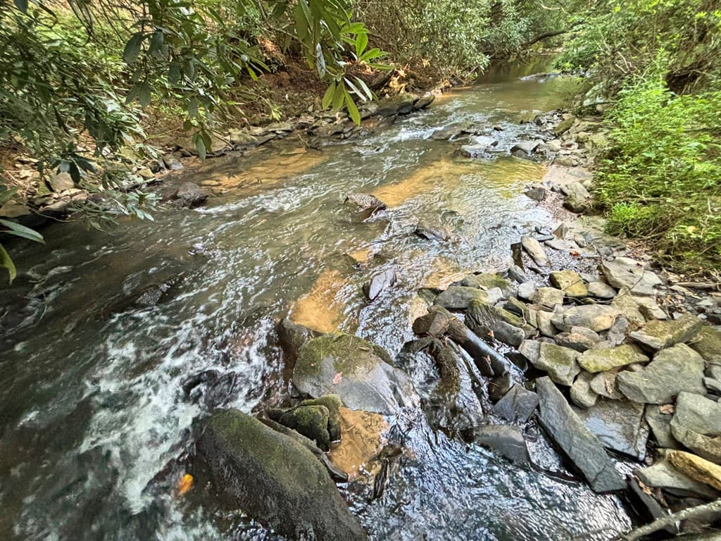 442 Mt. Springer Road, Ellijay GA 30540 - Photo