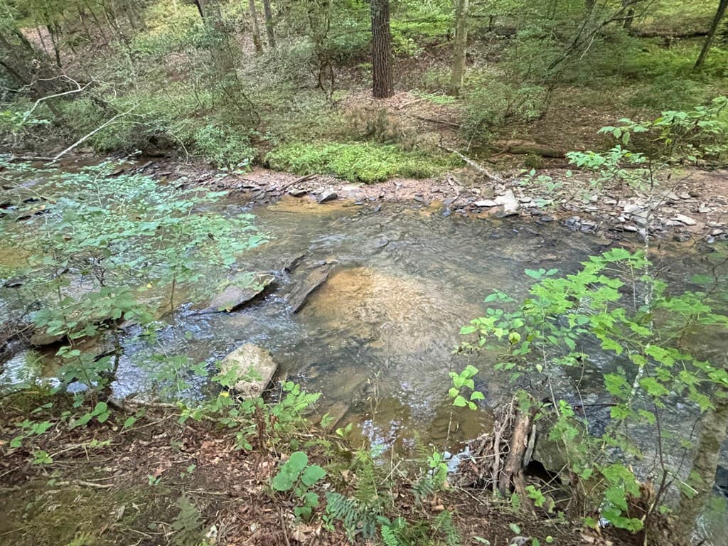 442 Mt. Springer Road, Ellijay GA 30540 - Photo
