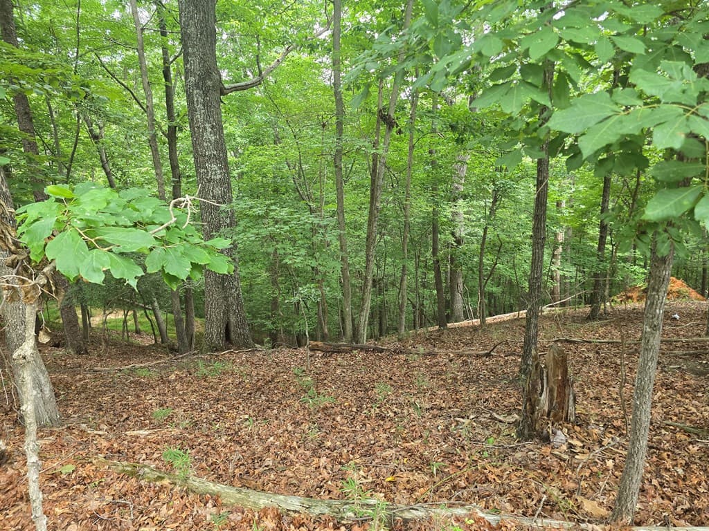 Lot 476 Riverview Drive, Ellijay GA 30540 - Photo