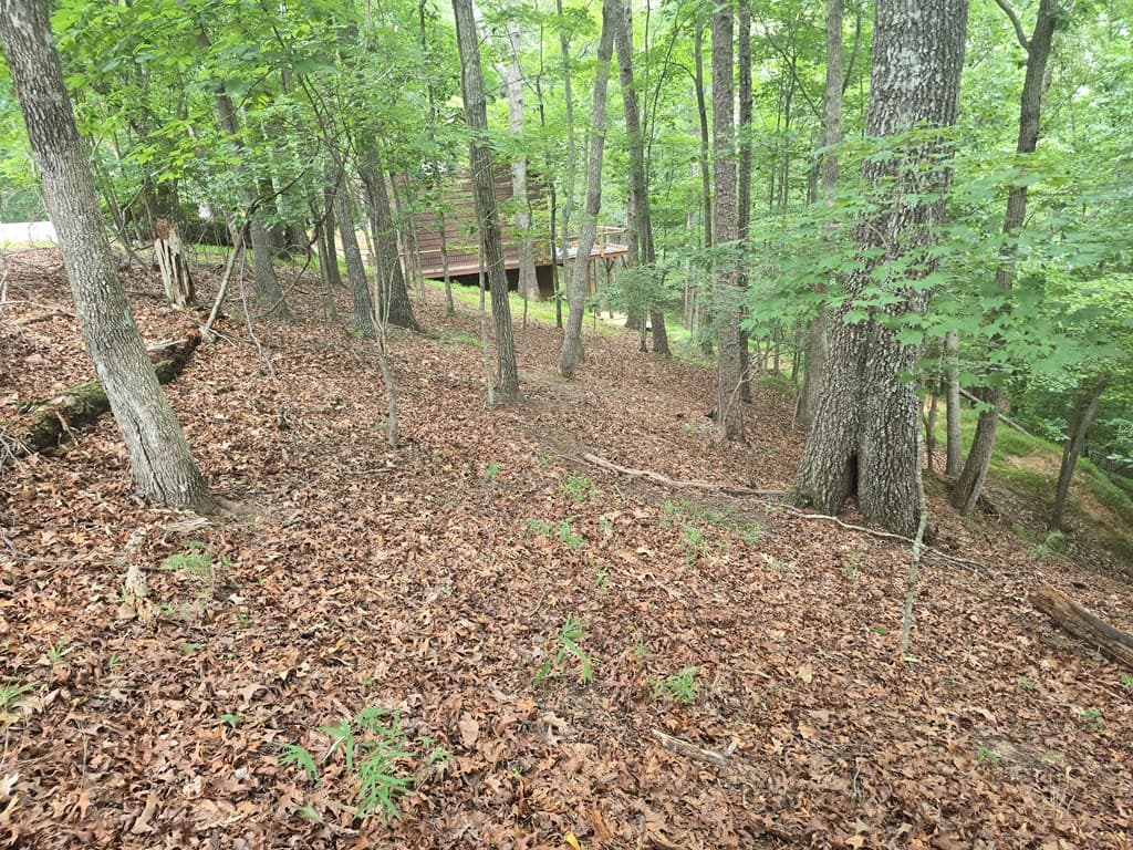 Lot 476 Riverview Drive, Ellijay GA 30540 - Photo