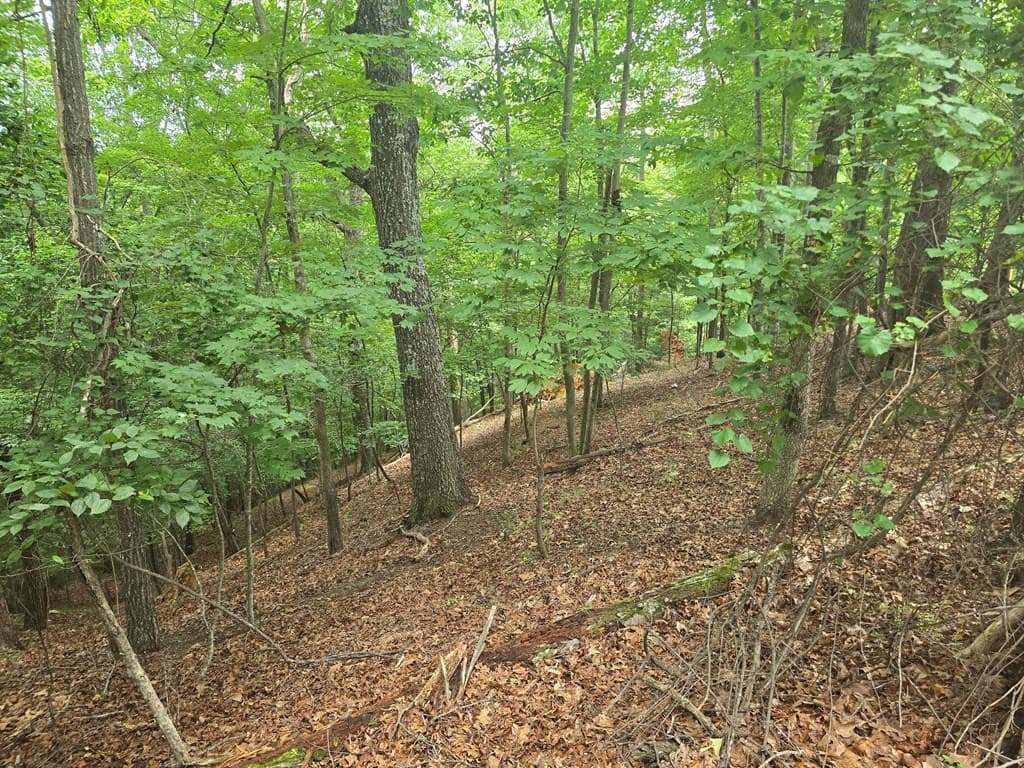 Lot 476 Riverview Drive, Ellijay GA 30540 - Photo
