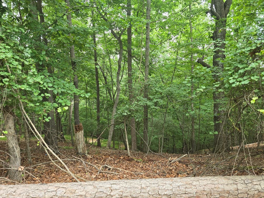 Lot 476 Riverview Drive, Ellijay GA 30540 - Photo