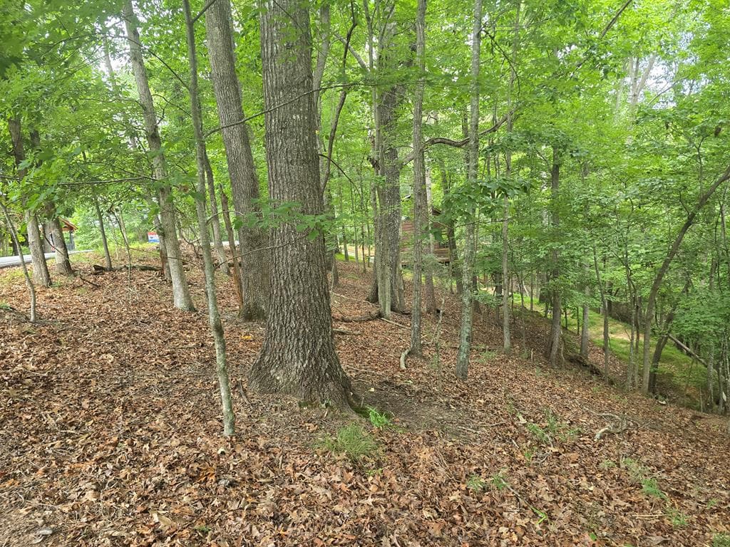Lot 476 Riverview Drive, Ellijay GA 30540 - Primary photo
