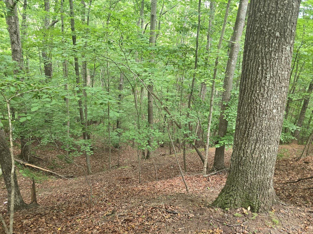 Lot 476 Riverview Drive, Ellijay GA 30540 - Photo