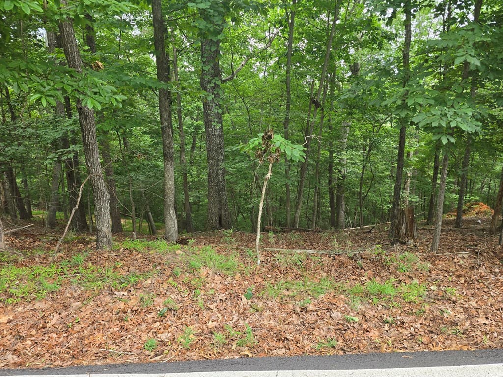 Lot 476 Riverview Drive, Ellijay GA 30540 - Photo
