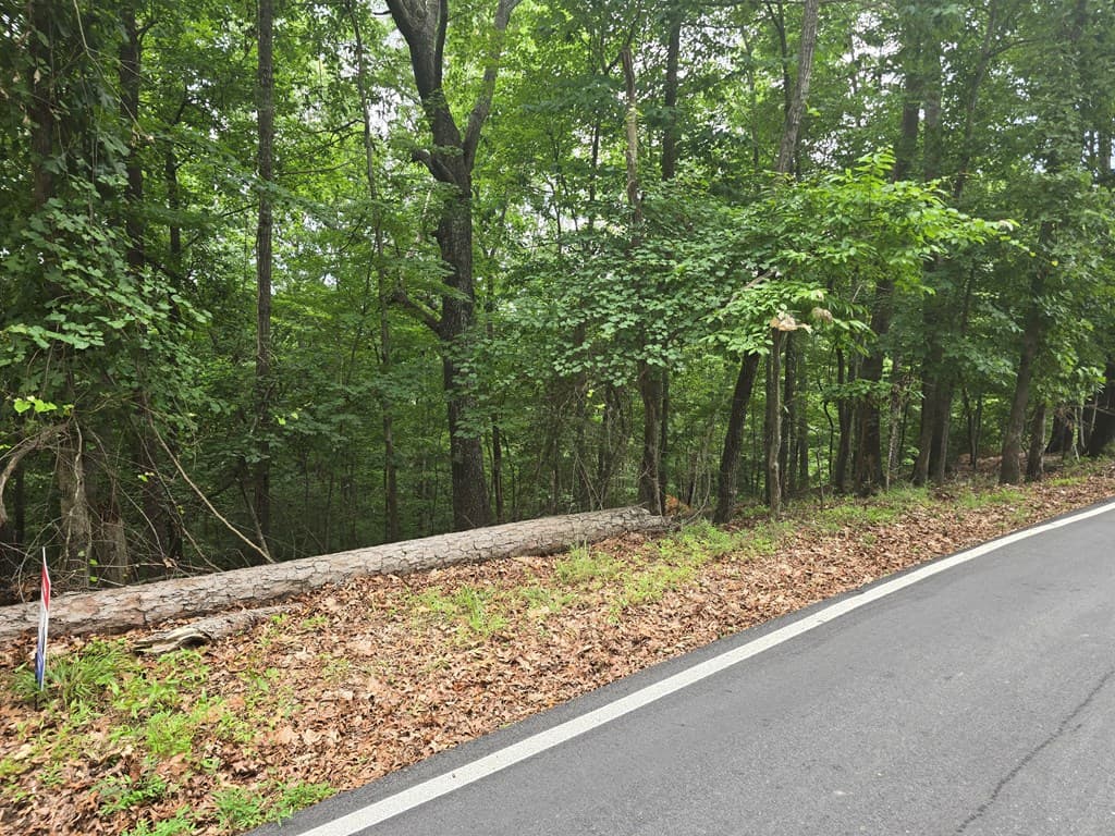 Lot 476 Riverview Drive, Ellijay GA 30540 - Photo