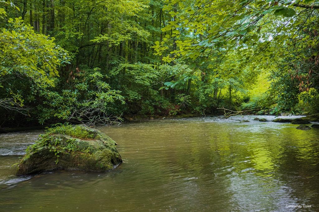 196 Creek Camp Road, Ellijay GA 30536 - Photo