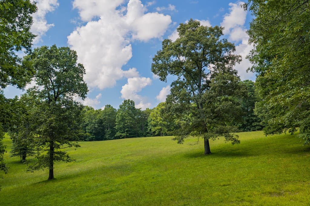 196 Creek Camp Road, Ellijay GA 30536 - Photo