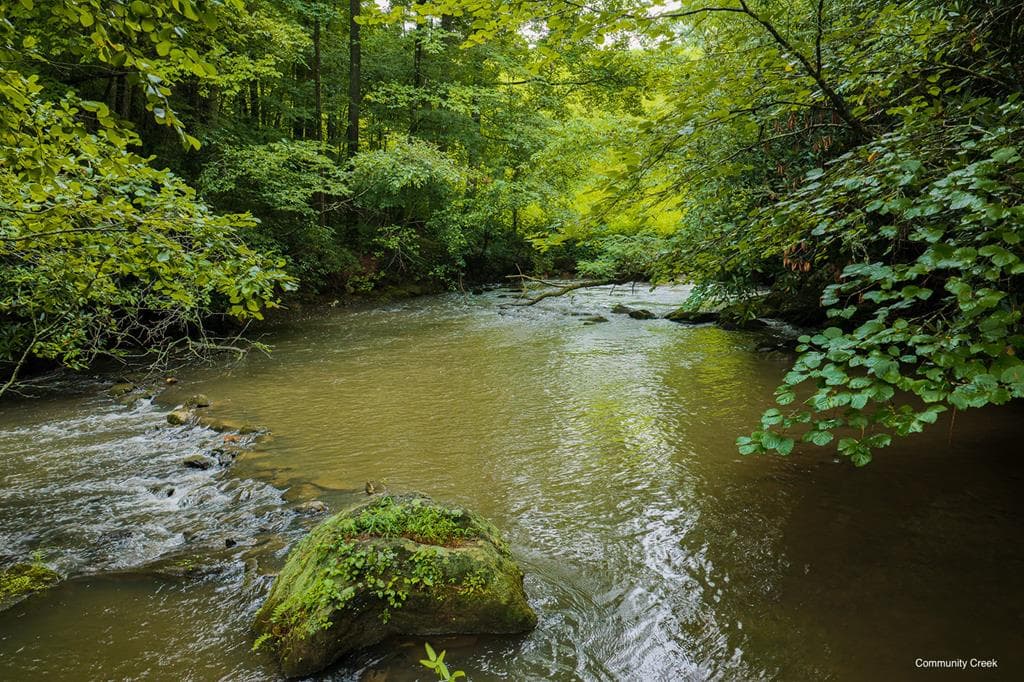 196 Creek Camp Road, Ellijay GA 30536 - Photo