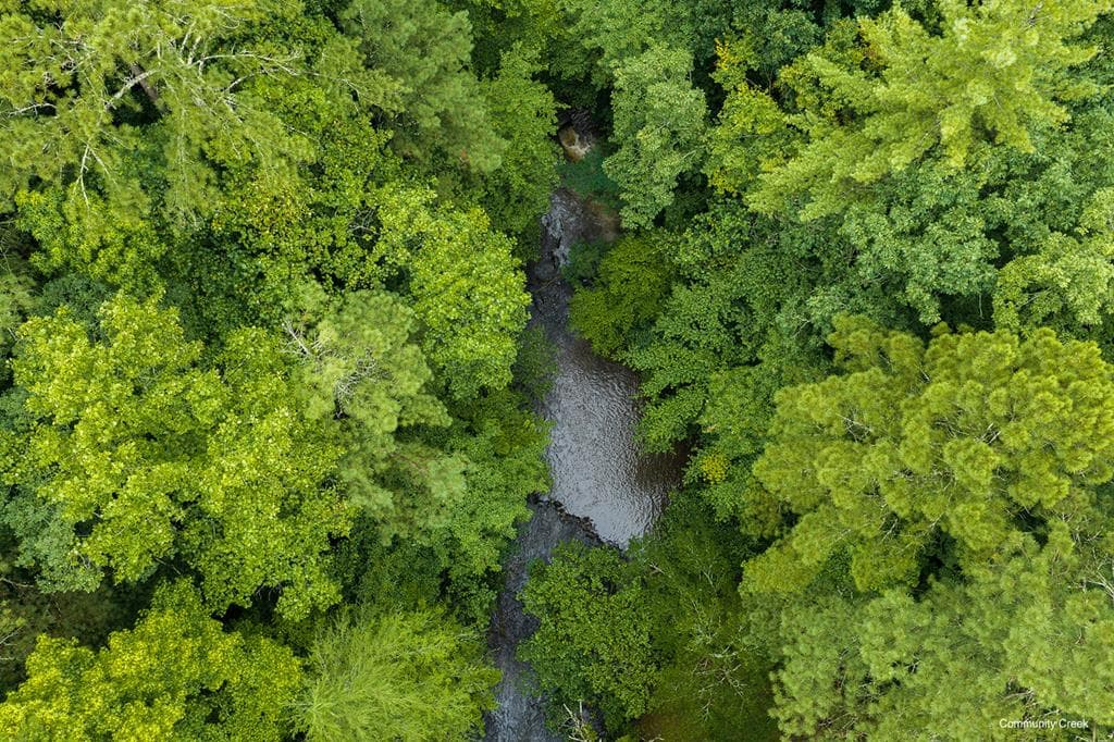 196 Creek Camp Road, Ellijay GA 30536 - Photo