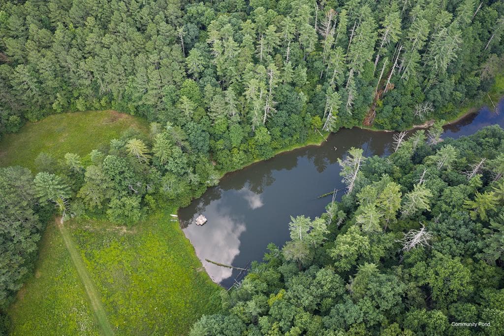 196 Creek Camp Road, Ellijay GA 30536 - Photo