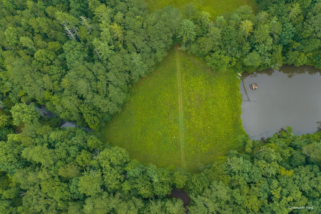 196 Creek Camp Road, Ellijay GA 30536 - Photo