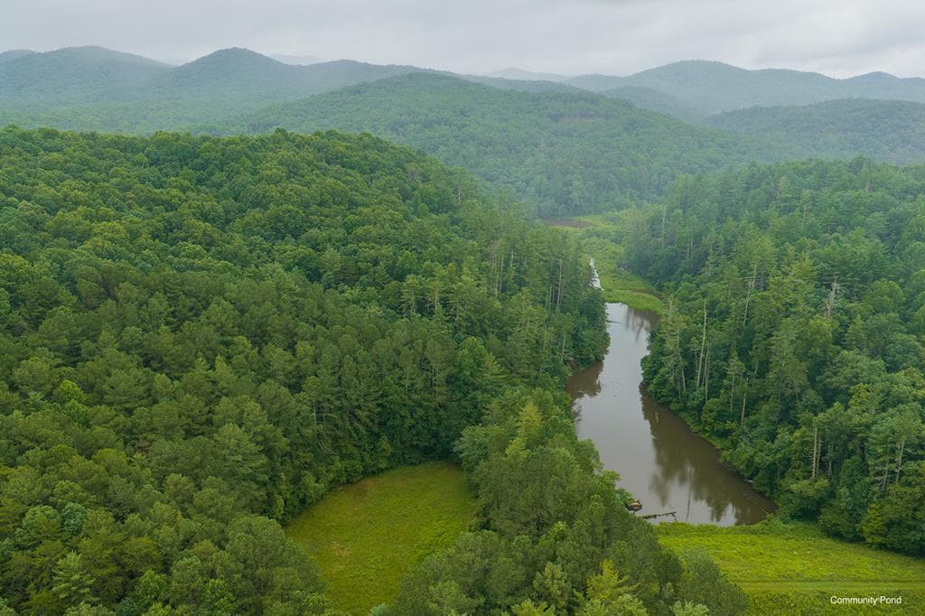 196 Creek Camp Road, Ellijay GA 30536 - Photo