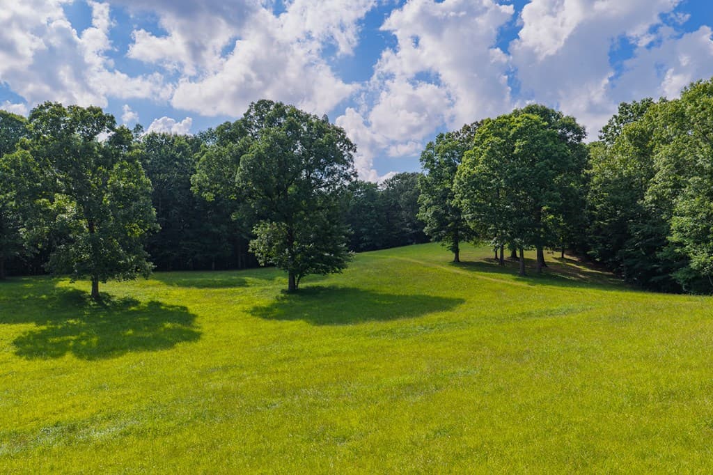 196 Creek Camp Road, Ellijay GA 30536 - Photo