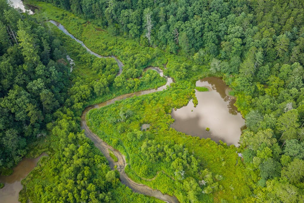 196 Creek Camp Road, Ellijay GA 30536 - Photo