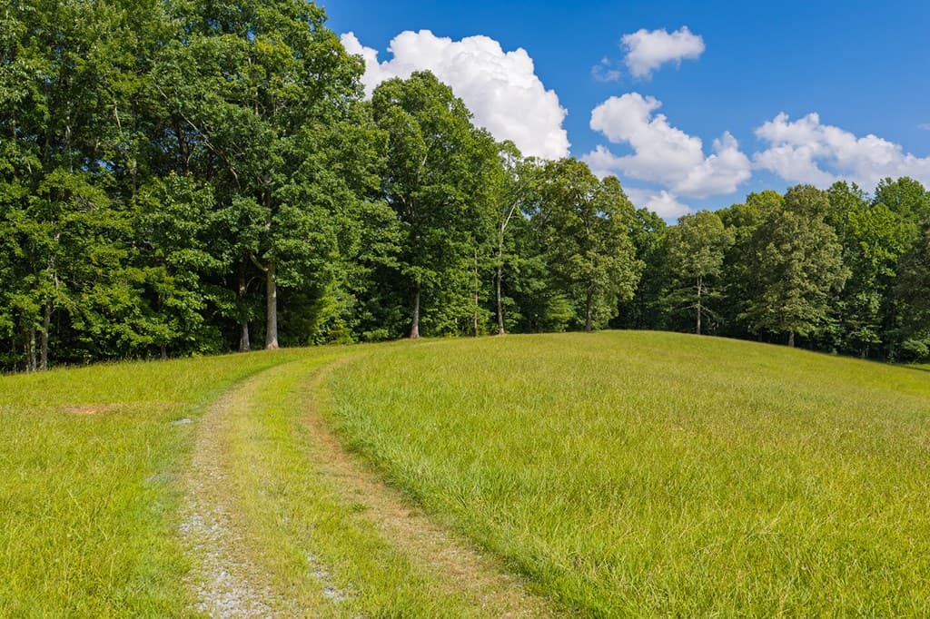 196 Creek Camp Road, Ellijay GA 30536 - Photo