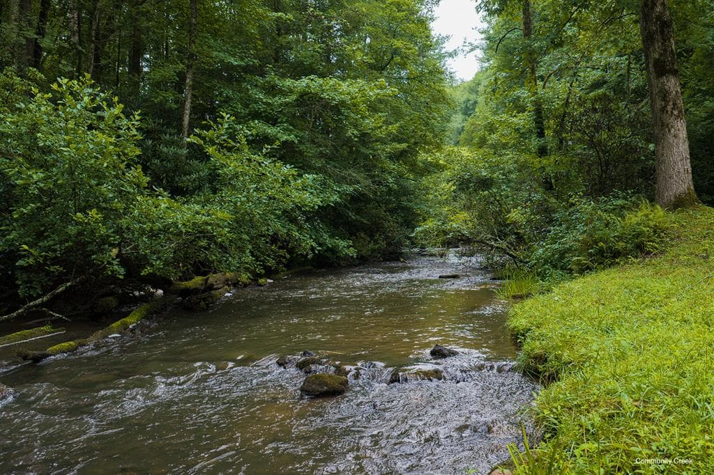 196 Creek Camp Road, Ellijay GA 30536 - Photo