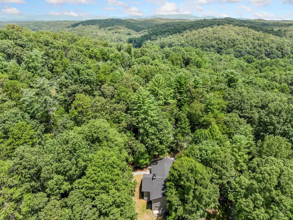 36 Dapple Lane, Ellijay GA 30540 - Photo
