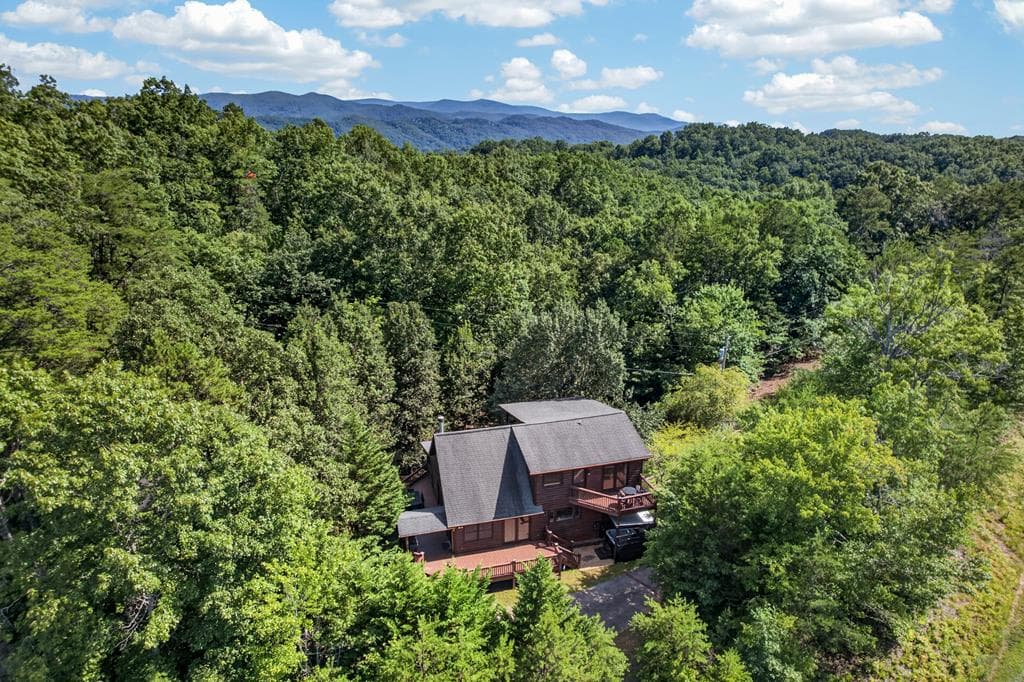 78 Mountain Peaks Lane, Blue Ridge GA 30513 - Photo