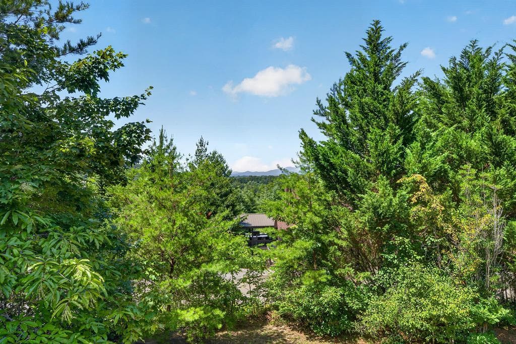 78 Mountain Peaks Lane, Blue Ridge GA 30513 - Photo