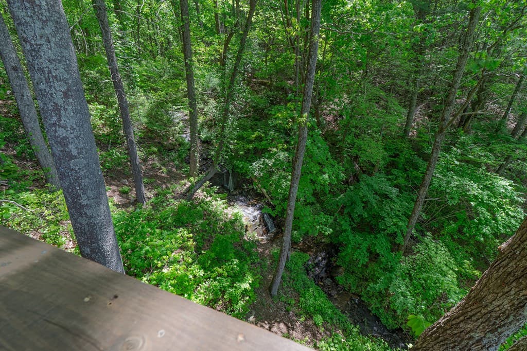 1049 Rockwater Road, Ellijay GA 30536 - Photo