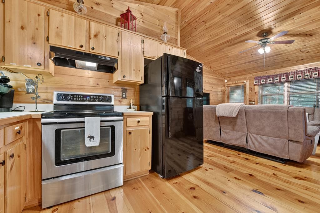 79 Maxwell Lane, Blue Ridge GA 30513 - Photo