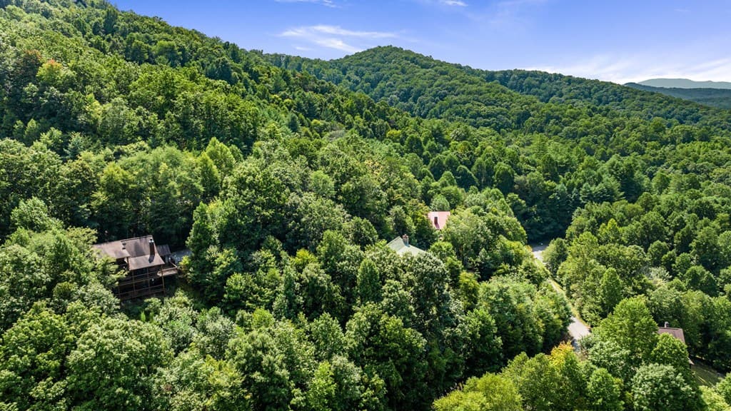 469 Mountain High Drive, Mineral Bluff GA 30559 - Photo