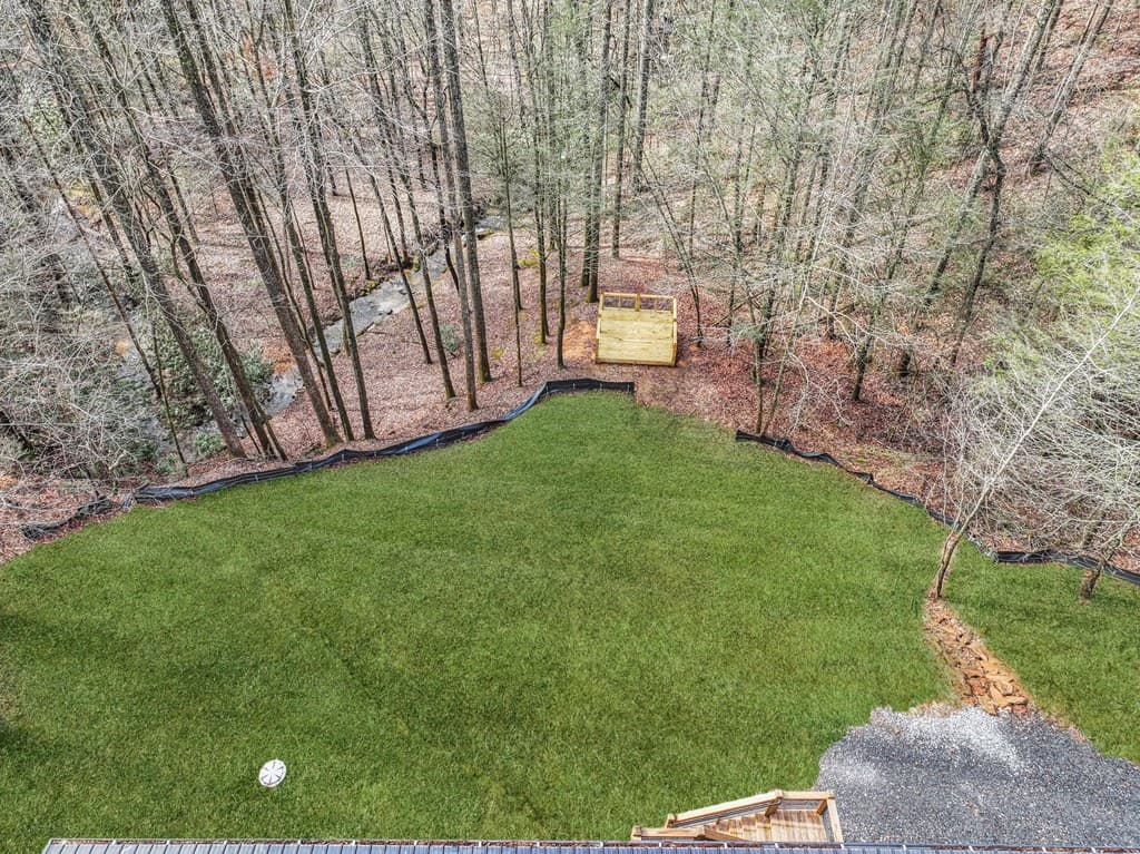 641 Bryant Farm Lane, Ellijay GA 30540 - Photo
