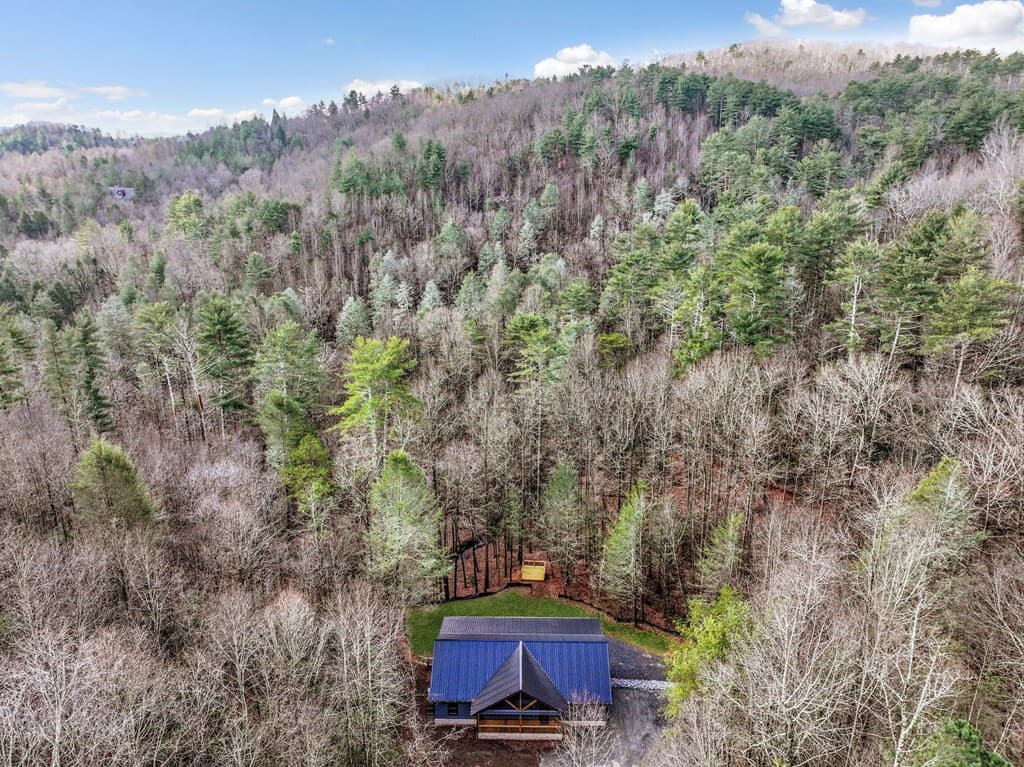 641 Bryant Farm Lane, Ellijay GA 30540 - Photo