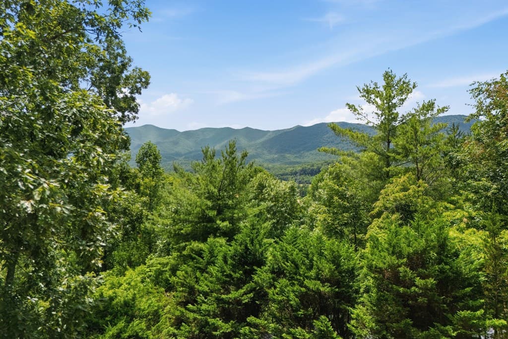 93 Jamie Lane, Blairsville GA 30512 - Photo