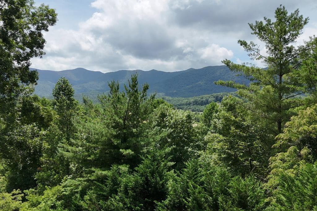 93 Jamie Lane, Blairsville GA 30512 - Photo