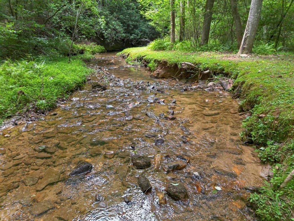 595 Timberlake Road, Blue Ridge GA 30513 - Photo