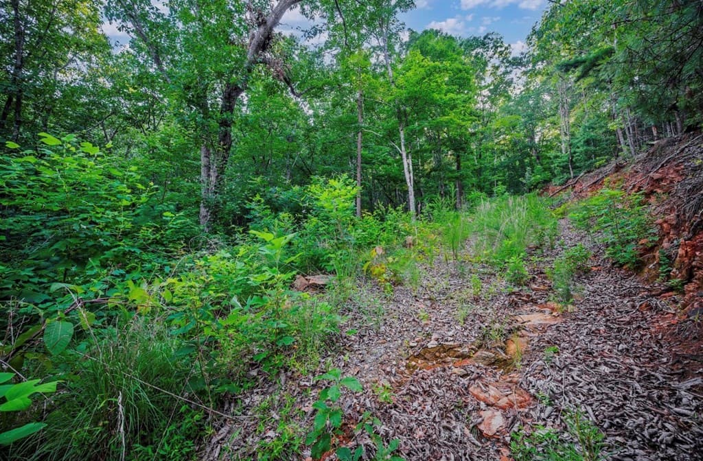 Lt 760 Morton Drive, Ellijay GA 30540 - Photo