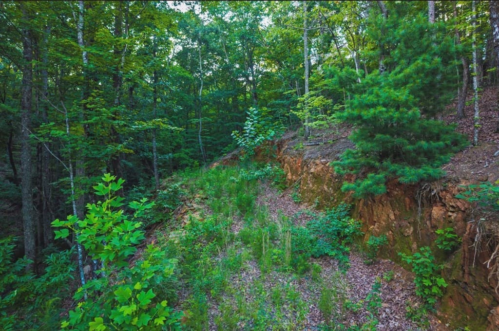 Lt 760 Morton Drive, Ellijay GA 30540 - Photo