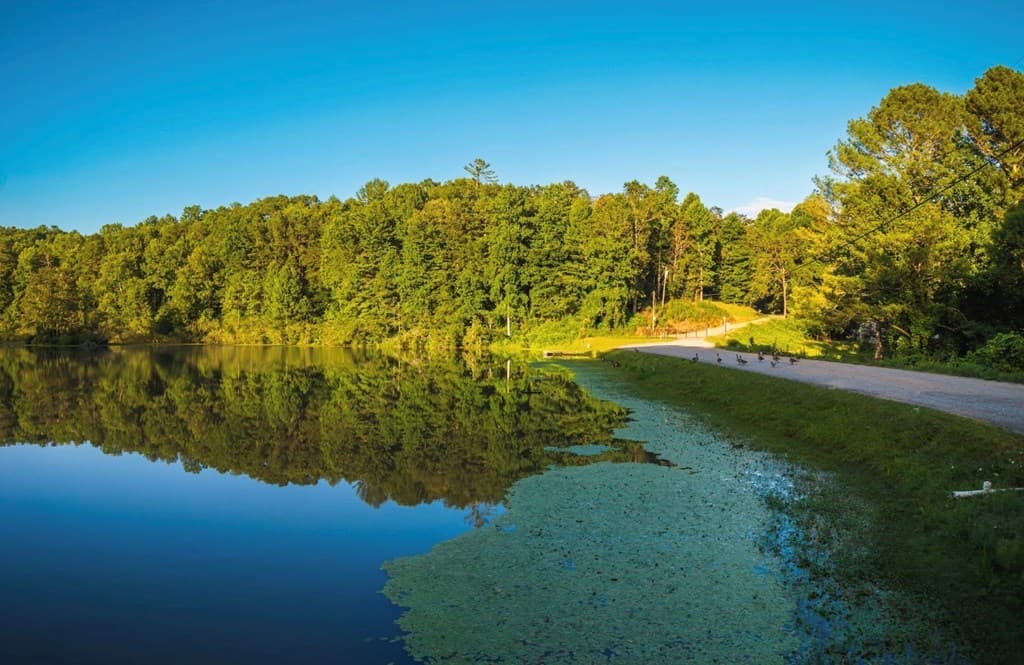 Lt 760 Morton Drive, Ellijay GA 30540 - Photo
