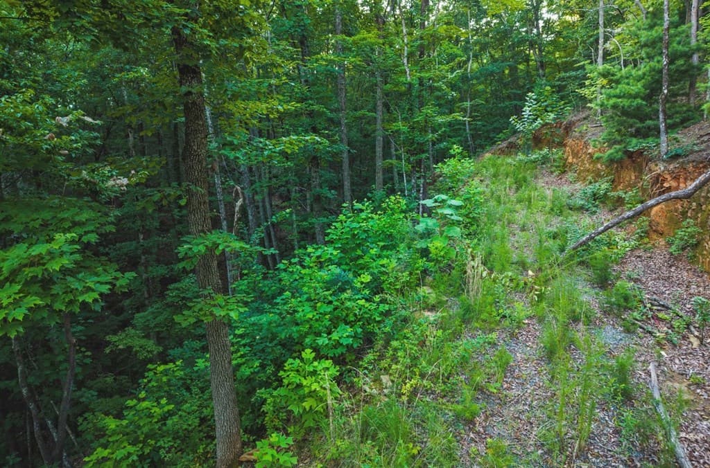Lt 760 Morton Drive, Ellijay GA 30540 - Photo
