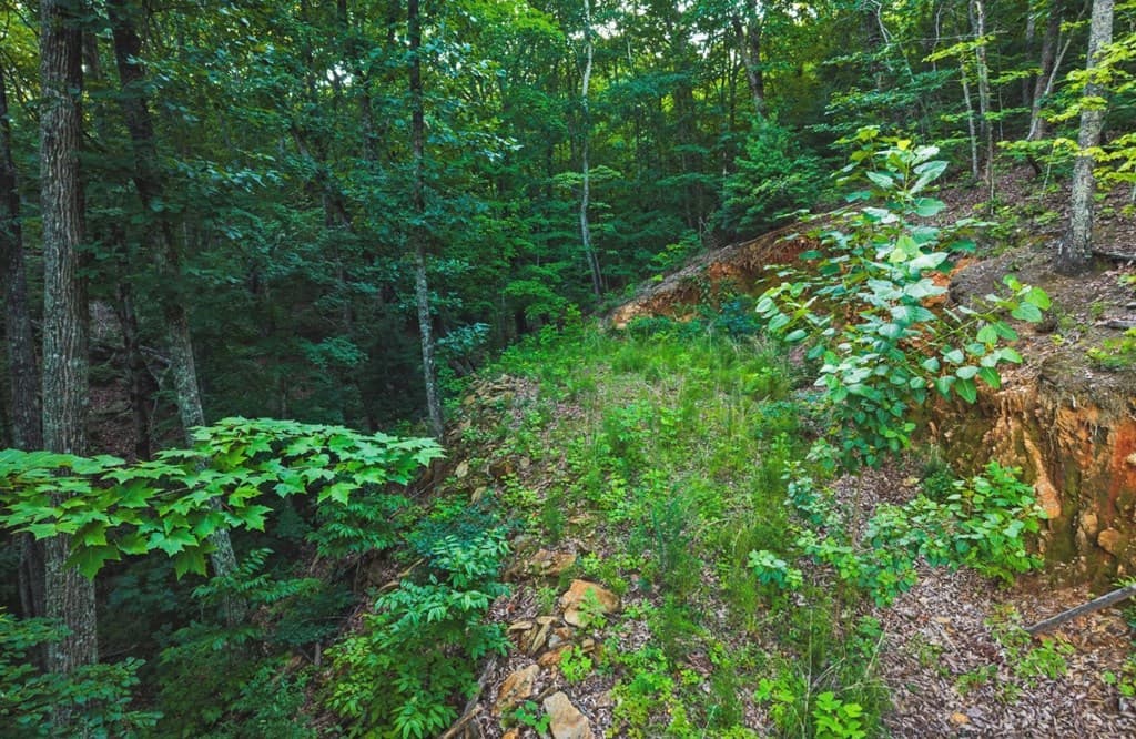 Lt 760 Morton Drive, Ellijay GA 30540 - Photo