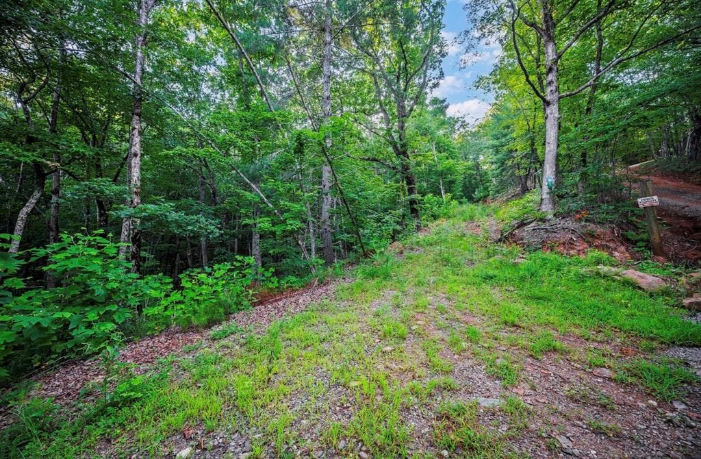 Lt 760 Morton Drive, Ellijay GA 30540 - Primary photo