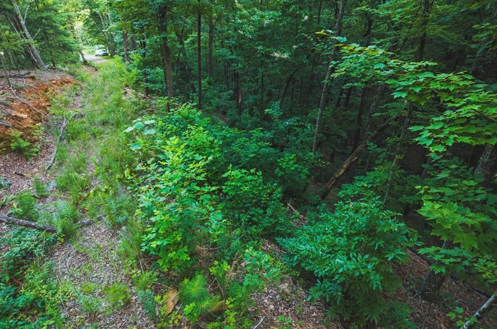 Lt 760 Morton Drive, Ellijay GA 30540 - Photo