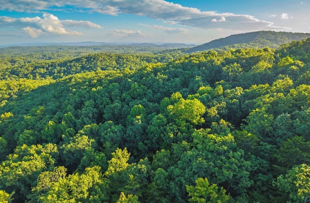 Lt 760 Morton Drive, Ellijay GA 30540 - Photo