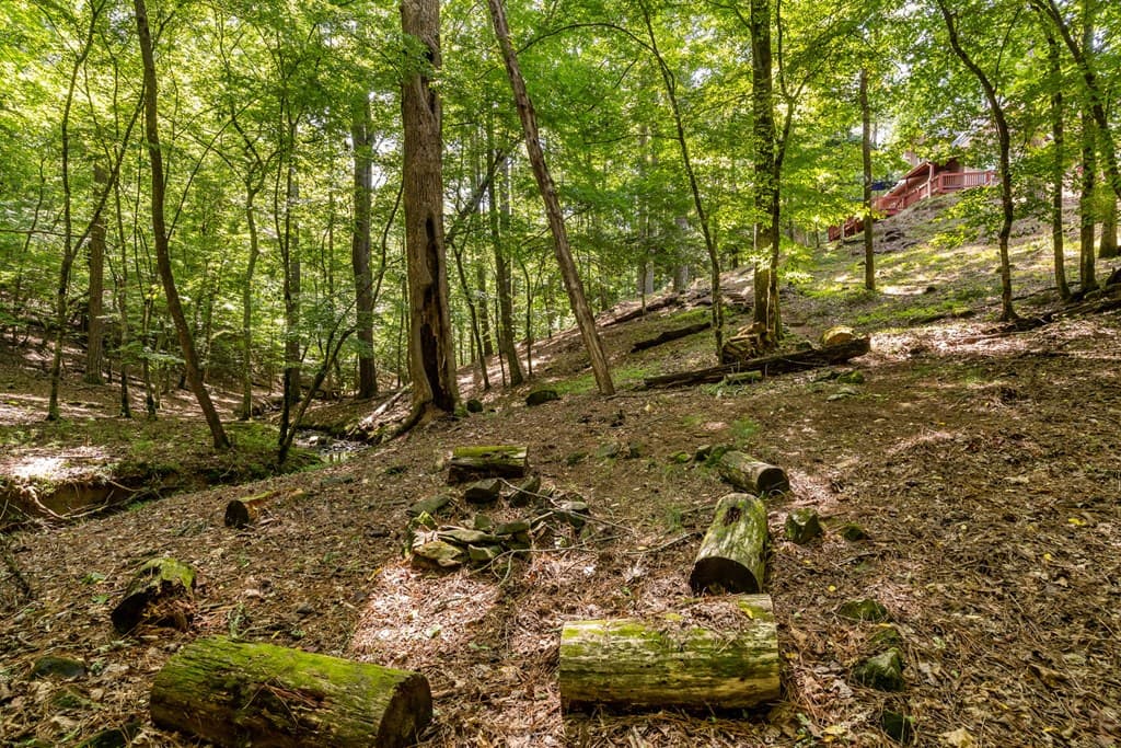 611 Monocle Drive, Ellijay GA 30540 - Photo