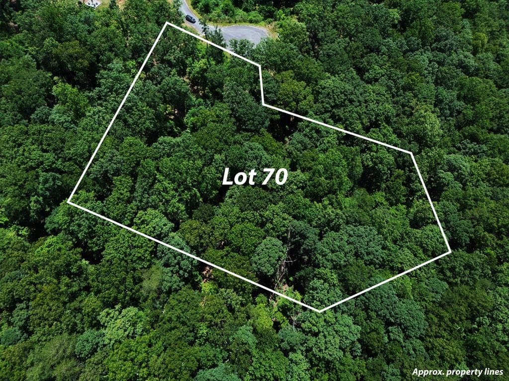 Lt 70 High Summit Drive, Talking Rock GA 30175 - Photo