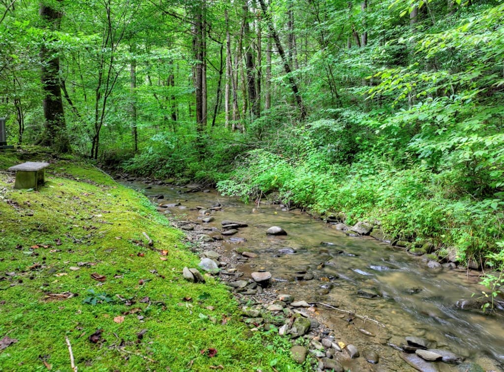 76 Serenity Place, Ellijay GA 30540 - Photo