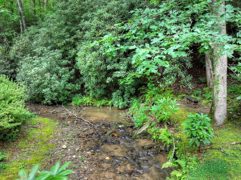 76 Serenity Place, Ellijay GA 30540 - Photo