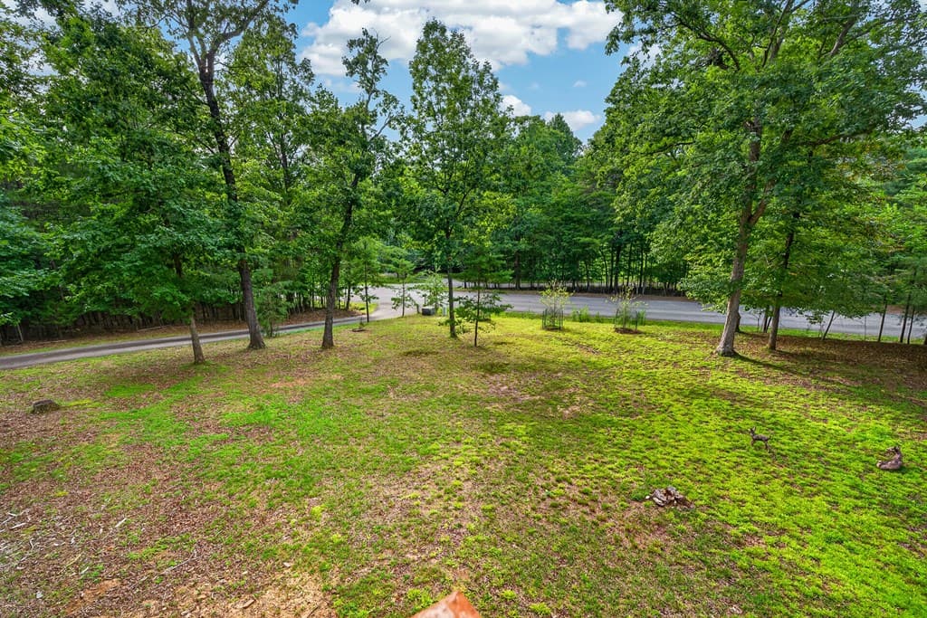23 Dolores Drive, Mineral Bluff GA 30559 - Photo