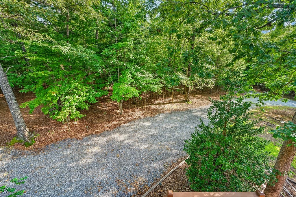 23 Dolores Drive, Mineral Bluff GA 30559 - Photo