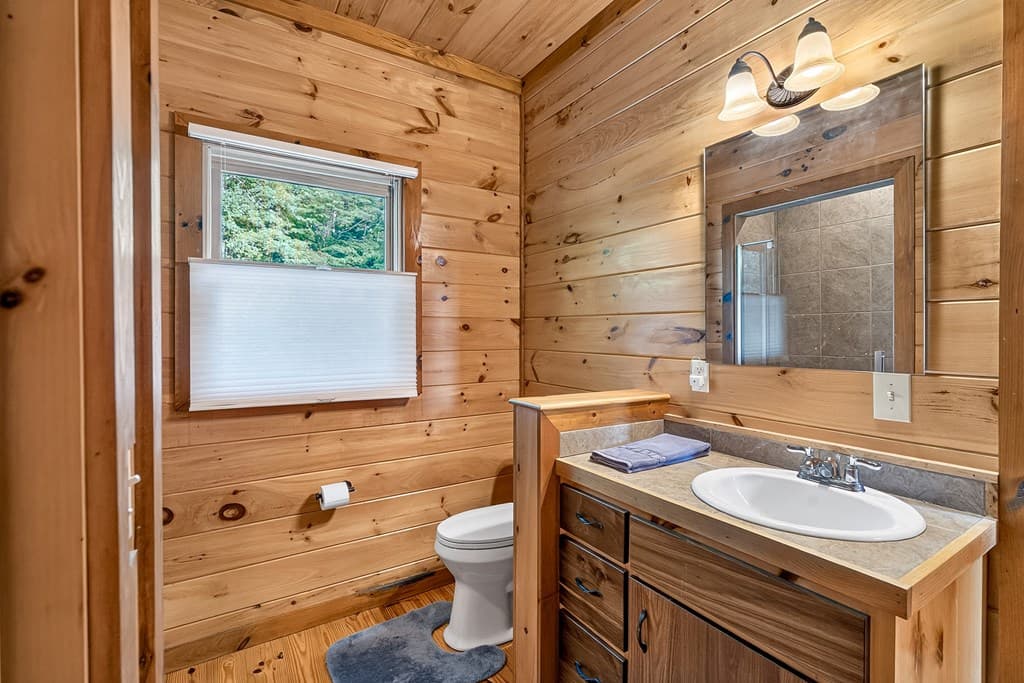 23 Dolores Drive, Mineral Bluff GA 30559 - Photo