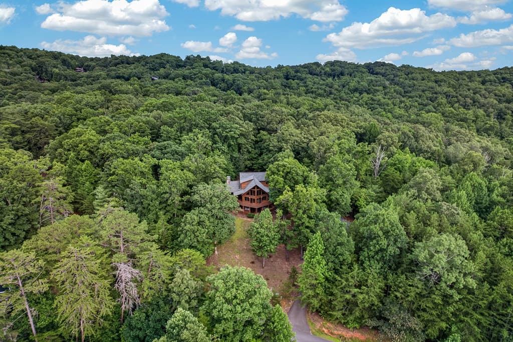 23 Dolores Drive, Mineral Bluff GA 30559 - Photo